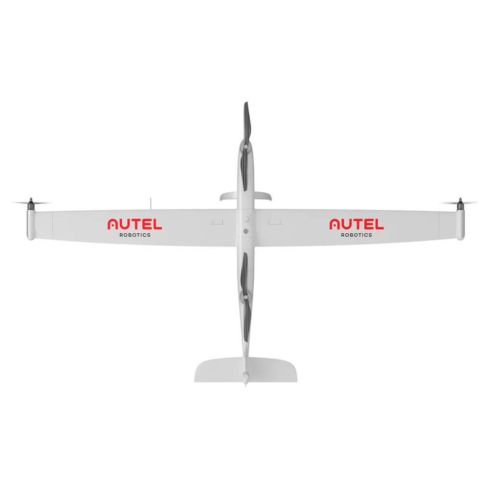 Dragonfish Standard - Image 2